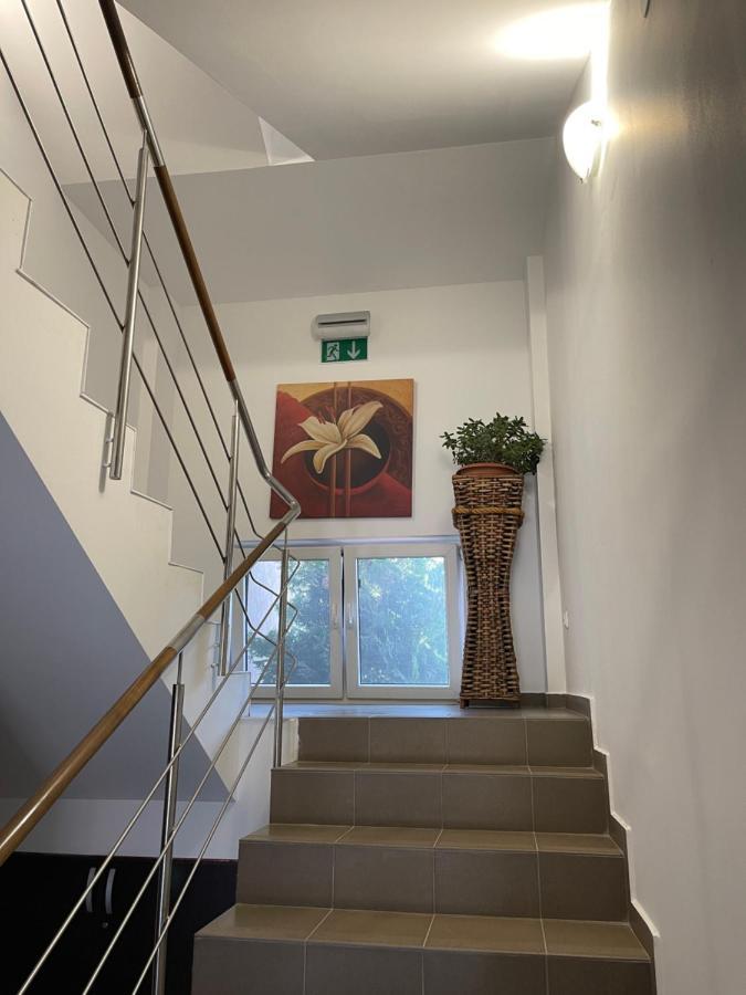 מלון Năvodari Ametist Casa Leului מראה חיצוני תמונה